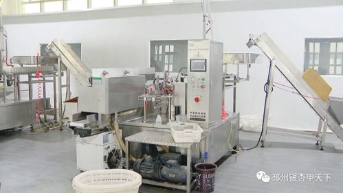 抓项目见成效 邳州1 7月签约项目53个,开工投产45个