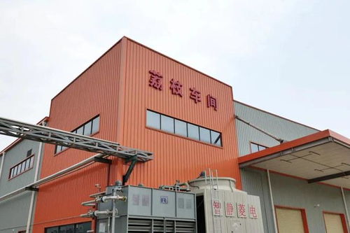 全国最甜的城市,做最网红的土特产