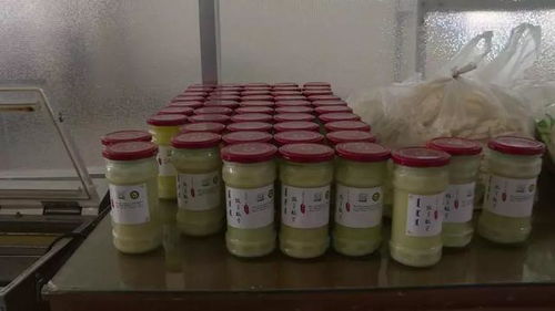 鄂前旗牧羊故里 让传统食品 焕发青春