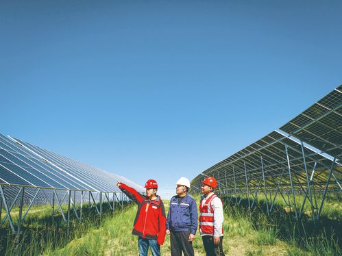 青豫二期 光伏板浩瀚万顷 走进重点项目建设现场