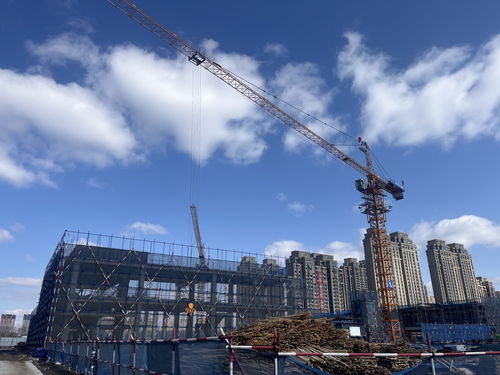 2024强招商促发展 哈尔滨新区这样干
