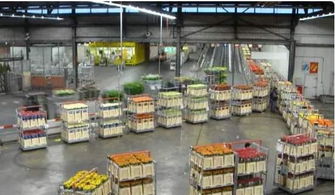 对华出口暴跌60 加方求助该国做说客,不料中方竟丝毫不给面子